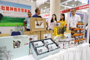 魚臺(tái)79家企業(yè)亮相省城，生態(tài)農(nóng)產(chǎn)品與保潔服務(wù)雙星閃耀